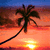 Pixelated sunset scene with palm tree silhouette against orange and blue sky, sun visible at bottom center.