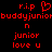 Red pixelated text on black background with 'r.i.p' and heart symbol above repeated 'buddyjunior' text, followed by 'n', 'junior', and 'love u'.