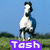 A horse stands in a grassy field under a blue sky, with text reading 'Tash' in purple below it.