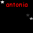 Red text reading 'antonia' appears multiple times on a black background with scattered white and gray stars, some of which change position across frames.