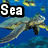 Animated underwater scene with sea turtles swimming among yellow fish, blue water background, and text overlays.