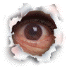 A static image of a human eye with visible iris and pupil, framed by torn paper edges on a gray background.