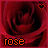 iconhell_sexeyforlyfe_rose