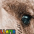 iconhell_statik_kling_llama