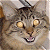 A pixelated cat face with glowing eyes and a wide open mouth on the left, next to green text reading "Original Icons .com" on a dark green background.