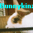 Pixelated close-up of a dog's face with brown and white fur, overlaid by cyan text reading 'Bunnykin' across the top.