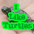 A four- shows a turtle in various states: on a hand with green text, alone on a hand, as a cartoon character, and with overlaid black text