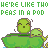 Animated contact sheet of 15 frames showing two green cartoon turtles in a pod with changing poses and expressions, surrounded by repeated text "PEAS IN A POD" and "WE'RE LIKE THIS".