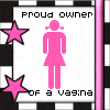 Pixelated pink female figure with pigtails stands on white background with black-and-white checkered border, text "PROUD OWNER of a vagina" and pink stars.