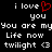 Black background with white pixelated text and a red heart symbol, displaying multiple variations of 'i love you' phrases.
