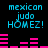 Pixelated cyan text 'mexican judo HÓMEZ!' appears above pink bar graphs on a black background, with two identical frames showing different bar graph patterns.