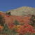Pixelated landscape with blue sky, light brown hill, and autumn-colored trees in red, orange, and green hues.