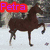 A four- shows a horse in various poses with overlaid text; the top-left displays "Petra" above a brown horse, and the bottom-left shows "Ponybox" below a rider on a horse