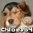 Pixelated dog face with brown and white fur, closed eyes, and a nose, with text overlays at the bottom.