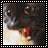 A black cat with wide eyes and an open mouth showing red tongue appears in a of six , with text variations below