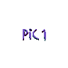 four and four displays variations of 'PIC 1' text in purple and blue hues against a light gray background