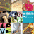 Pixelated grid of nine distinct images including a pink flower, beige background with red spots, blue sky-like scene, and abstract shapes in various colors.