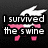 Pixelated pink pig with white wings and text reading 'I survived the swine in 2009!' on a dark background.