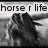 A four- of pixelated images with text overlays: top-left shows a black-and-white horse, top-right displays 'besides' over a dark figure, bottom-left lists names on a blue background, and the bottom-right is blank