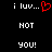 Pixelated text reads "i luv..." with a red heart symbol, followed by "NOT" and "you!" on a black background.