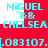 Pixelated text displays 'MIGUEL' and 'CHELSEA' with phone number '.083107.' on red background, alternating between white and solid red sections.