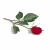 A pixelated red rose with green leaves on a white background, accompanied by black text reading "i am beautiful no matter what they say" in a retro digital font.