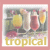 nine identical tropical cocktail icons with yellow, white, and red drinks garnished with lemon slices on a green background