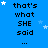 Blue background with repeated text 'that's what SHE said' in black pixelated font, scattered white and light blue stars, and a gray rectangle in bottom-right corner.