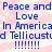 Pixelated blue text on pink background repeats 'Peace and Peace and Love' with 'In America d Tellicustud' and exclamation marks in two identical vertical
