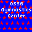 Blue background with red star pattern, white text repeating 'OSSG Gymnastics Center' in pixelated font, gray rectangle in bottom-right corner.