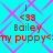 Cyan background with pink diamond lattice pattern, red text elements including 'Bailey', '<39', and 'my puppy<.' arranged in repeating
