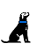 Pixelated black dog with blue collar sits facing up-left, surrounded by purple musical notes in varying quantities across frames.