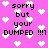 Pixelated pink background with white heart shapes and black text reading "sorry but your DUMPED !!!" in multiple repeated instances.