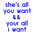 Blue pixelated text on white background reads "she's all you want && your all i want" in two identical vertical with slight variations between observations