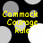 Yellow text 'Commack Courage Rule' overlaid on a black background with gray and white circular shapes, arranged in a pattern