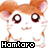 A 4x4 contact sheet of animated frames showing a cartoon hamster character with brown and white fur, large black eyes, pink cheeks, and the text "Hamtaro" beneath each frame.
