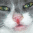 Gray cat face with green eyes and pink nose, showing subtle animation of mouth movement.