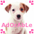 A static contact sheet of two identical animated frames showing a pixelated dog with brown ears and white fur, pink text reading "Adorable," and four pink square corner icons on a transparent background.