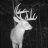 Pixelated grayscale image of a deer's head and antlers against dark background, rendered in low-resolution style with visible pixelation.