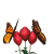 Animated sequence of three red flowers with green stems and leaves, each flower hosting two orange-and-black butterflies in various wing positions.