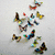 Animated sequence of colorful butterfly icons scattered across a light background, transitioning to a beach scene with heart-shaped sand drawing and blue text.