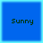 Four identical blue squares with light blue borders each display the word 'Sunny' in dark green pixelated text.