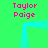 Green background with four pink 'Taylor Paige' text blocks and a cyan rectangular outline that shifts position across frames.
