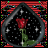 A red rose with green stem and leaves inside a dark frame with white speckles on a red striped background.