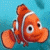 Animated orange clownfish with white stripes against blue background, displaying text changes.