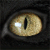 Animals icons for AIM, MSN, MySpace and Yahoo