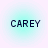 Four identical square icons with light cyan gradient backgrounds display the text CAREY in dark blue pixelated capital letters.