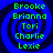Four identical blue spiral backgrounds with green text listing names Brooke, Brianna, Tori, Charlie, Lexie in pixelated font.