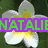 Four distinct buddy icons arranged in a , each with unique backgrounds and overlaid text