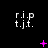 A black background displays white text 'r.i.p t.j.t.' in a of nine positions, with pink plus signs and X symbols animating across the middle